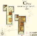 C5