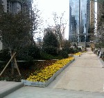 鲁商首府实景图