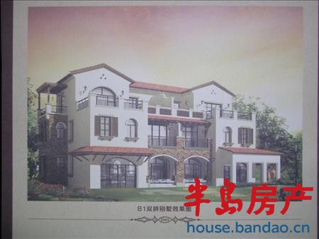 B1双拼别墅效果图 241.81平